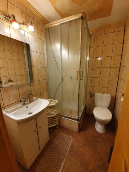 Pokoje I Apartamenty Regionalny Styl Ul Bachledy 41 扎科帕内 外观 照片