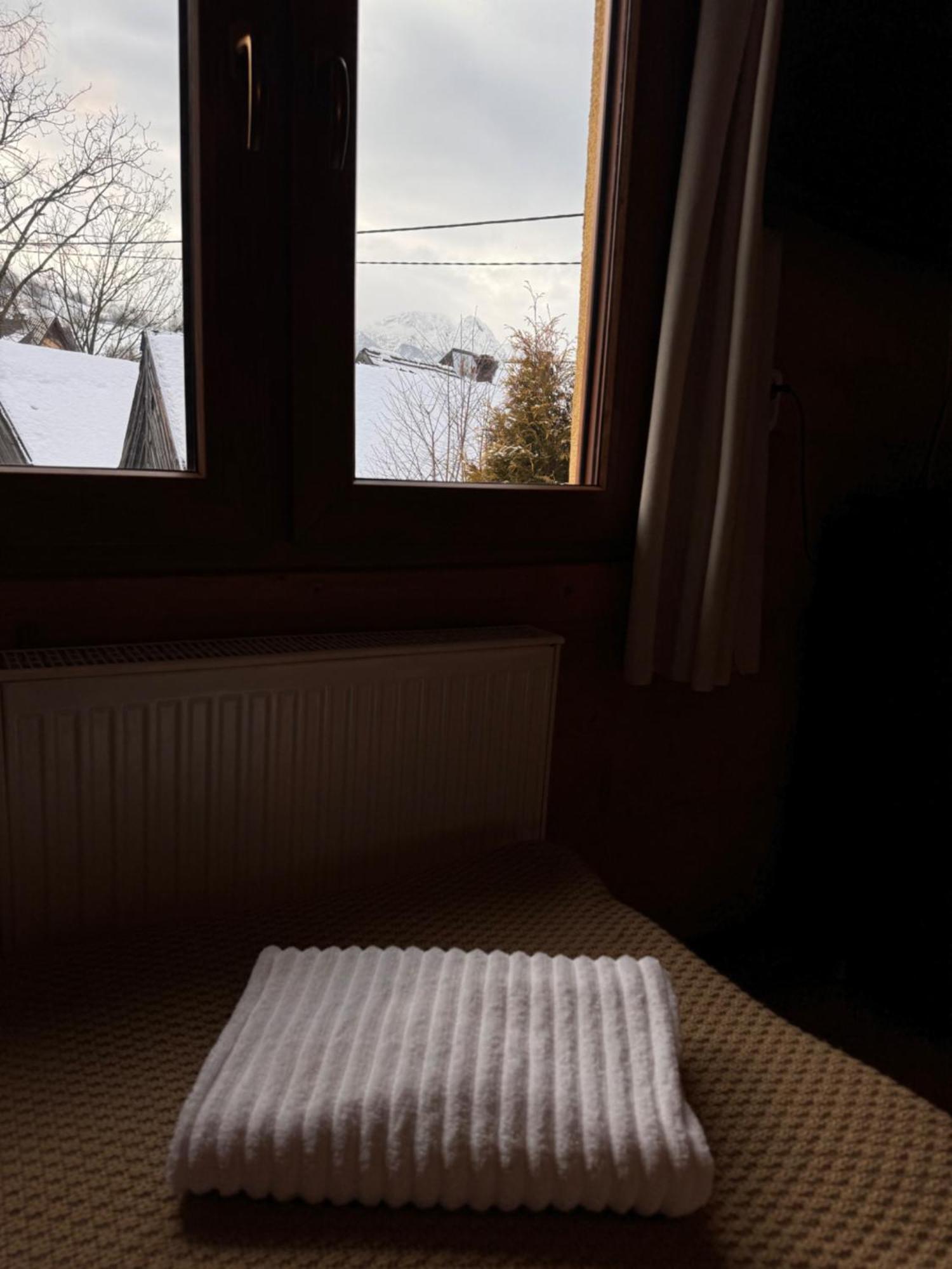 Pokoje I Apartamenty Regionalny Styl Ul Bachledy 41 扎科帕内 外观 照片