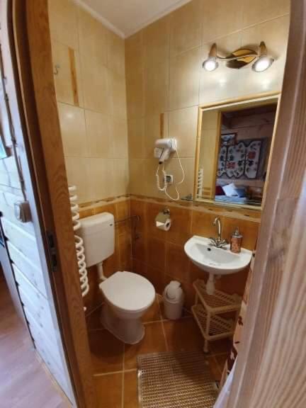 Pokoje I Apartamenty Regionalny Styl Ul Bachledy 41 扎科帕内 外观 照片